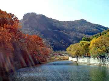 高效凈水絮凝劑，批發(fā)價(jià)格與市場趨勢深度解析