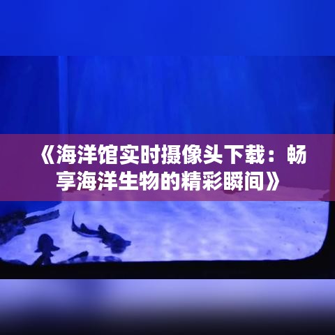《海洋館實時攝像頭下載：暢享海洋生物的精彩瞬間》