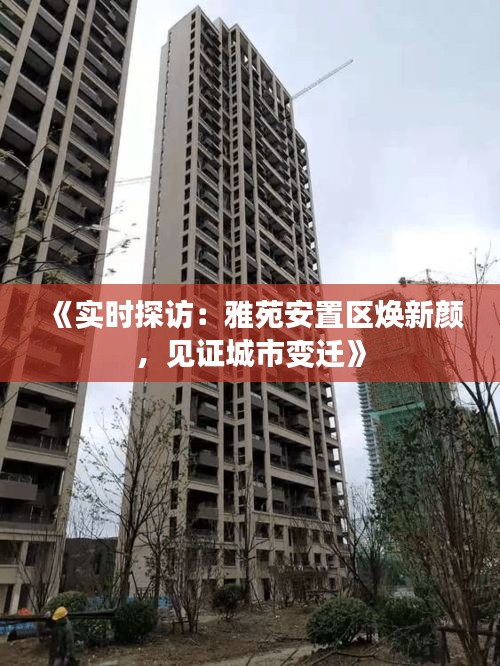 《實時探訪：雅苑安置區(qū)煥新顏，見證城市變遷》