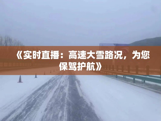 《實時直播：高速大雪路況，為您保駕護航》