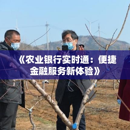 《農(nóng)業(yè)銀行實(shí)時通：便捷金融服務(wù)新體驗(yàn)》