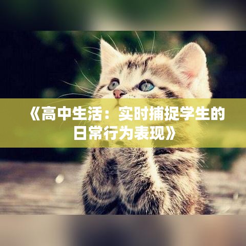 《高中生活：實時捕捉學(xué)生的日常行為表現(xiàn)》