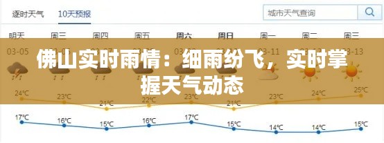 佛山實(shí)時(shí)雨情：細(xì)雨紛飛，實(shí)時(shí)掌握天氣動(dòng)態(tài)