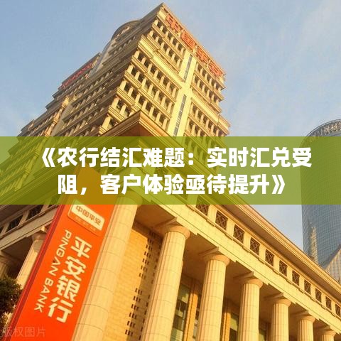 《農(nóng)行結(jié)匯難題：實(shí)時(shí)匯兌受阻，客戶體驗(yàn)亟待提升》