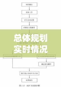 總體規(guī)劃實時情況說明書：全面解析與前瞻