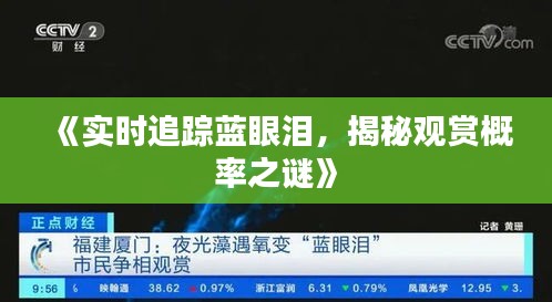 《實時追蹤藍眼淚，揭秘觀賞概率之謎》