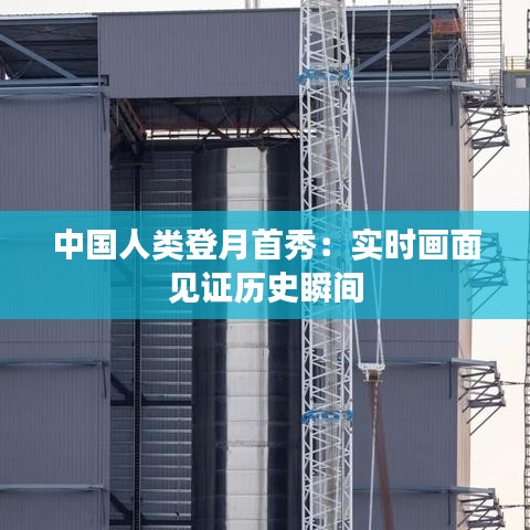 鳳凰于飛 第4頁(yè)