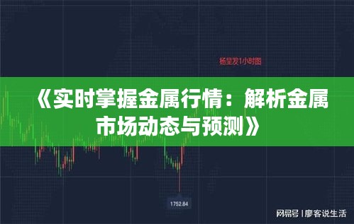 《實(shí)時(shí)掌握金屬行情：解析金屬市場動(dòng)態(tài)與預(yù)測》