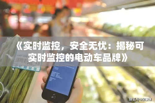 《實(shí)時(shí)監(jiān)控，安全無憂：揭秘可實(shí)時(shí)監(jiān)控的電動(dòng)車品牌》