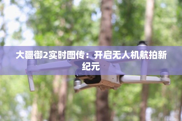 大疆御2實(shí)時(shí)圖傳：開(kāi)啟無(wú)人機(jī)航拍新紀(jì)元