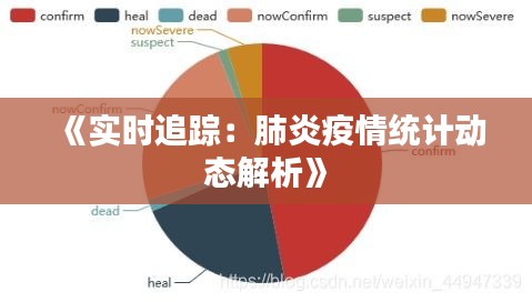《實(shí)時(shí)追蹤：肺炎疫情統(tǒng)計(jì)動(dòng)態(tài)解析》