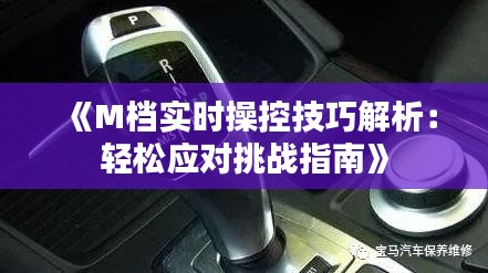 《M檔實時操控技巧解析：輕松應(yīng)對挑戰(zhàn)指南》