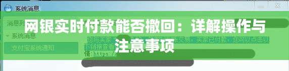 網銀實時付款能否撤回：詳解操作與注意事項