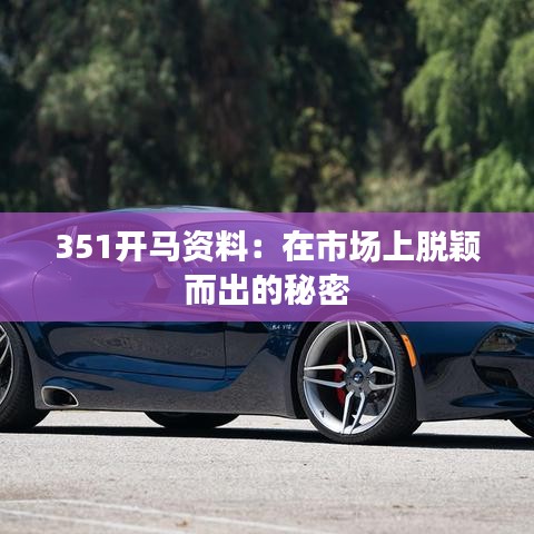 351開馬資料：在市場上脫穎而出的秘密