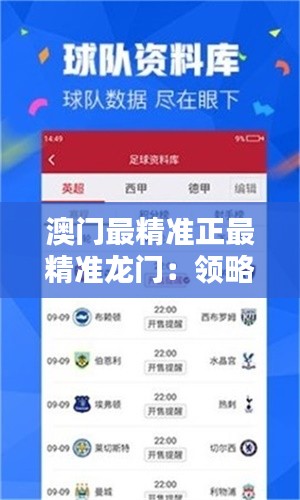 澳門最精準正最精準龍門：領(lǐng)略極致博彩藝術(shù)的燈紅酒綠