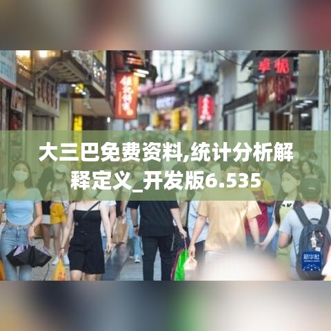 大三巴免費(fèi)資料,統(tǒng)計分析解釋定義_開發(fā)版6.535