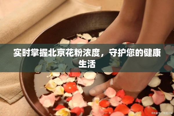 實(shí)時(shí)掌握北京花粉濃度，守護(hù)您的健康生活