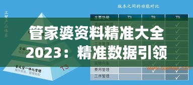 管家婆資料精準(zhǔn)大全2023：精準(zhǔn)數(shù)據(jù)引領(lǐng)效率革命，領(lǐng)航現(xiàn)代企業(yè)資源管理風(fēng)潮
