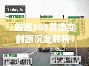臨高303縣道實時路況全解析：暢行無憂指南