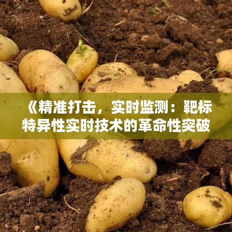 《精準(zhǔn)打擊，實時監(jiān)測：靶標(biāo)特異性實時技術(shù)的革命性突破》