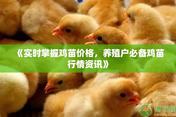 《實時掌握雞苗價格，養(yǎng)殖戶必備雞苗行情資訊》
