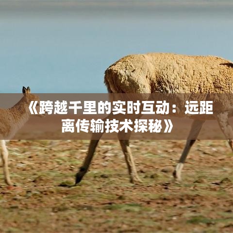 《跨越千里的實(shí)時(shí)互動(dòng)：遠(yuǎn)距離傳輸技術(shù)探秘》