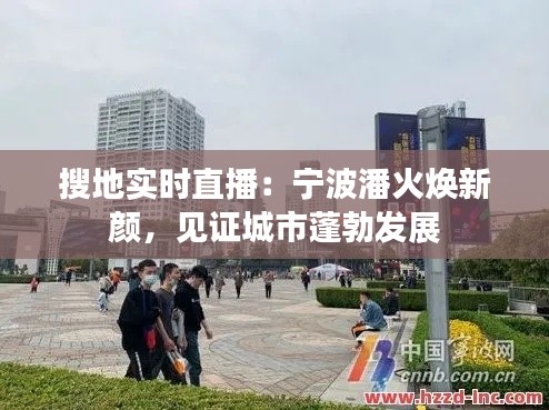 搜地實(shí)時(shí)直播：寧波潘火煥新顏，見證城市蓬勃發(fā)展