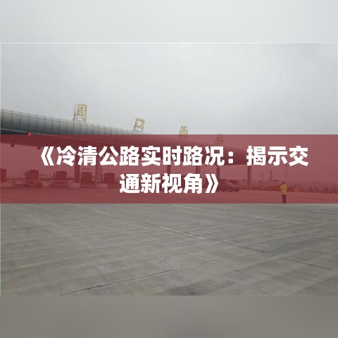 《冷清公路實(shí)時(shí)路況：揭示交通新視角》