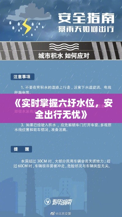 《實時掌握六圩水位，安全出行無憂》