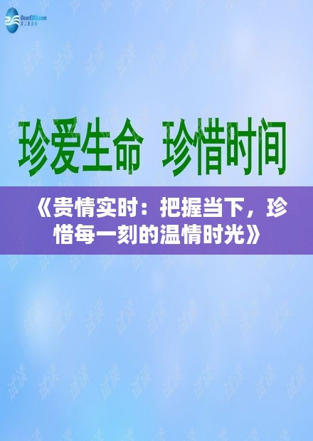 《貴情實(shí)時(shí)：把握當(dāng)下，珍惜每一刻的溫情時(shí)光》