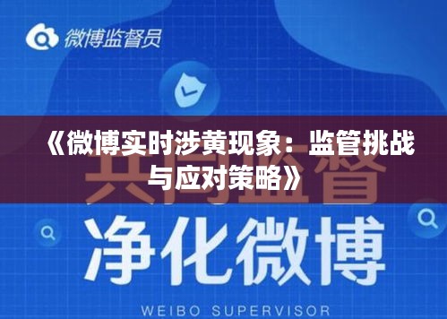 《微博實(shí)時(shí)涉黃現(xiàn)象：監(jiān)管挑戰(zhàn)與應(yīng)對(duì)策略》