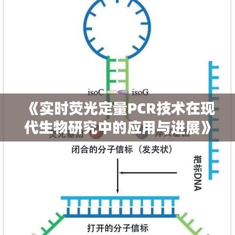 《實(shí)時熒光定量PCR技術(shù)在現(xiàn)代生物研究中的應(yīng)用與進(jìn)展》