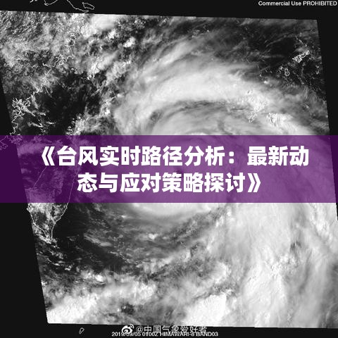 《臺風(fēng)實(shí)時路徑分析：最新動態(tài)與應(yīng)對策略探討》