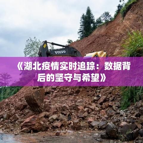 《湖北疫情實時追蹤：數(shù)據(jù)背后的堅守與希望》