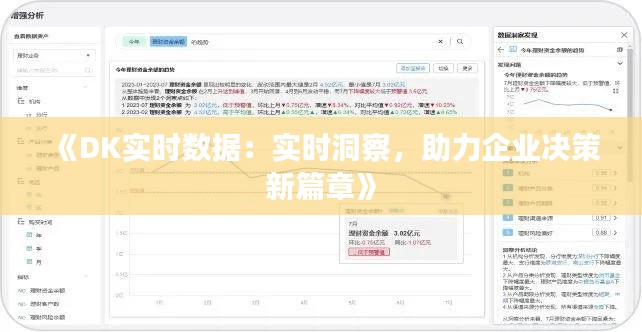 《DK實時數(shù)據(jù)：實時洞察，助力企業(yè)決策新篇章》