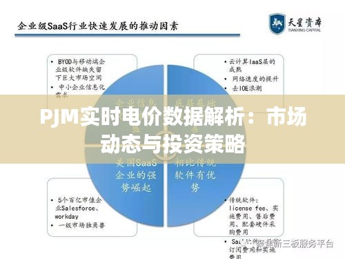 PJM實時電價數(shù)據(jù)解析：市場動態(tài)與投資策略