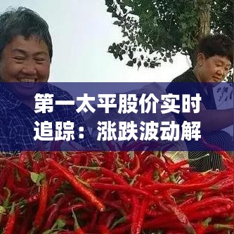 第一太平股價實時追蹤：漲跌波動解析
