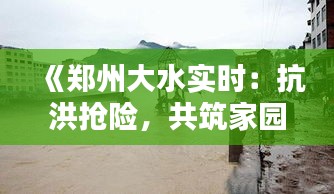 《鄭州大水實(shí)時(shí)：抗洪搶險(xiǎn)，共筑家園防線》