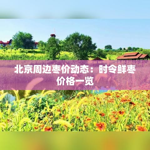 北京周邊棗價(jià)動(dòng)態(tài)：時(shí)令鮮棗價(jià)格一覽