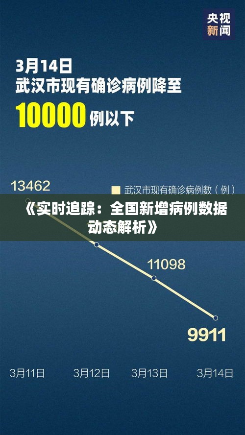 《實時追蹤：全國新增病例數(shù)據(jù)動態(tài)解析》