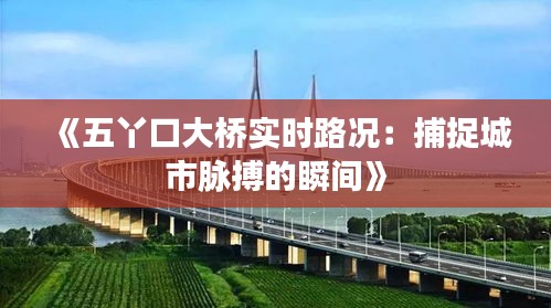 《五丫口大橋?qū)崟r路況：捕捉城市脈搏的瞬間》