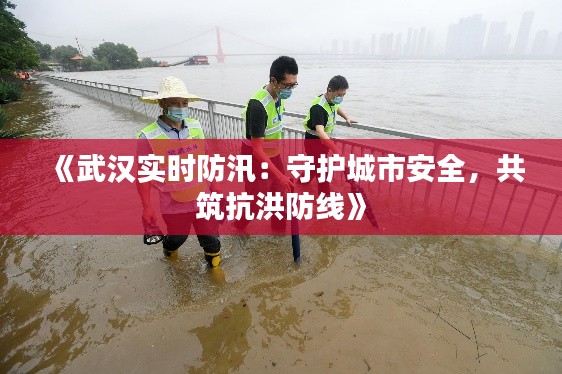 《武漢實(shí)時(shí)防汛：守護(hù)城市安全，共筑抗洪防線》