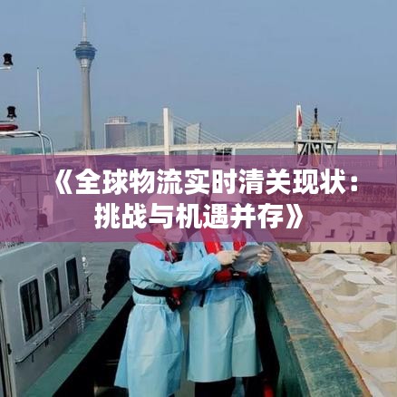 《全球物流實(shí)時(shí)清關(guān)現(xiàn)狀：挑戰(zhàn)與機(jī)遇并存》