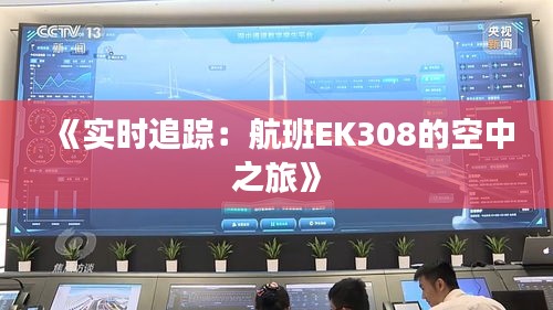 《實(shí)時(shí)追蹤：航班EK308的空中之旅》