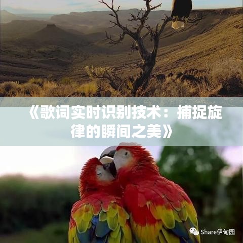 《歌詞實時識別技術(shù)：捕捉旋律的瞬間之美》