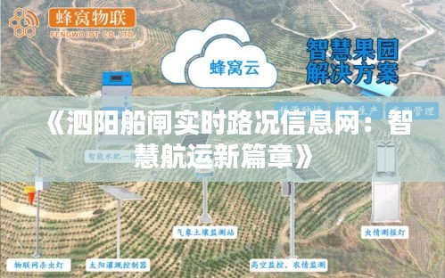 《泗陽船閘實時路況信息網(wǎng)：智慧航運新篇章》