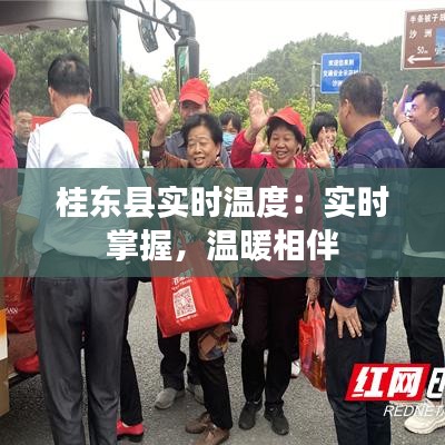 桂東縣實(shí)時(shí)溫度：實(shí)時(shí)掌握，溫暖相伴