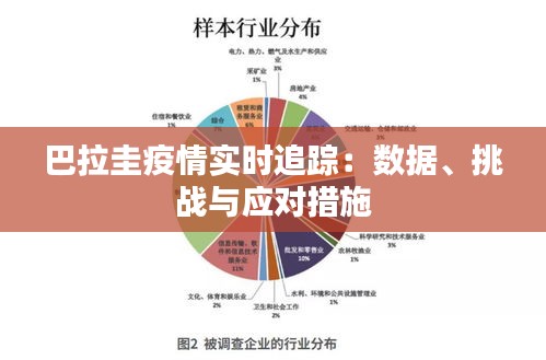 巴拉圭疫情實時追蹤：數(shù)據(jù)、挑戰(zhàn)與應對措施