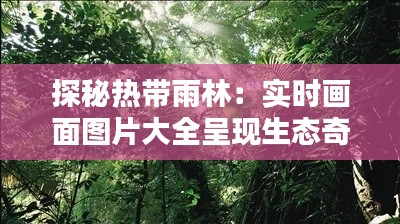 探秘?zé)釒в炅郑簩崟r畫面圖片大全呈現(xiàn)生態(tài)奇跡