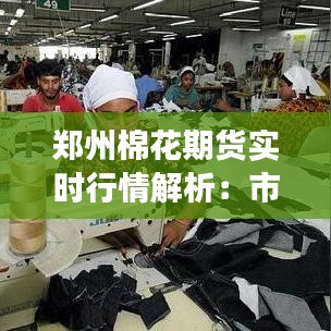 鄭州棉花期貨實時行情解析：市場動態(tài)與投資策略